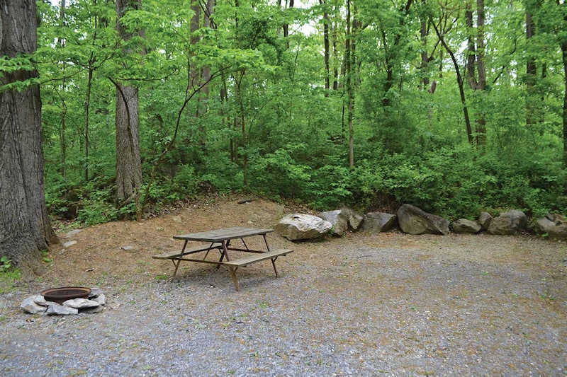 Standard RV/Tent Site-3